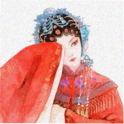 观众白鹭的头像